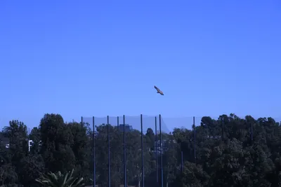 DSC_0776 (Large).JPG